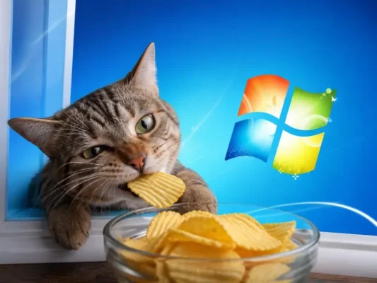 Fun cat eating chips through windows 7 wallpaper designs